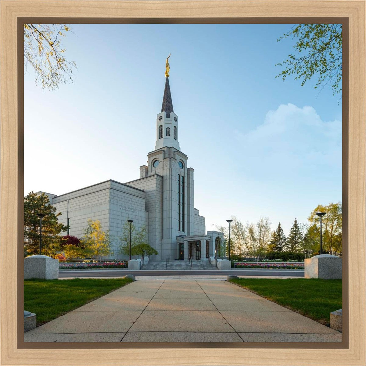Boston Temple Spring Blossoms Gallery Wrap