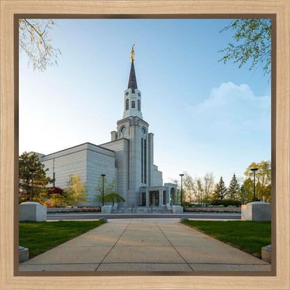Boston Temple Spring Blossoms