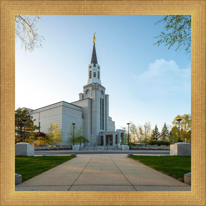 Boston Temple Spring Blossoms