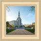 Boston Temple Spring Blossoms