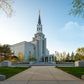 Boston Temple Spring Blossoms