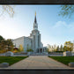 Boston Temple Spring Blossoms