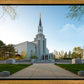 Boston Temple Spring Blossoms