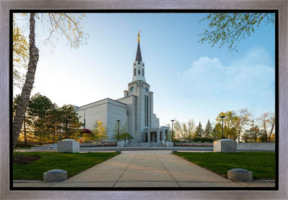 Boston Temple Spring Blossoms