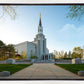 Boston Temple Spring Blossoms