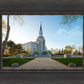 Boston Temple Spring Blossoms