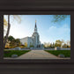 Boston Temple Spring Blossoms