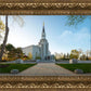 Boston Temple Spring Blossoms