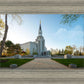 Boston Temple Spring Blossoms