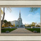 Boston Temple Spring Blossoms