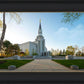 Boston Temple Spring Blossoms
