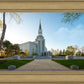 Boston Temple Spring Blossoms