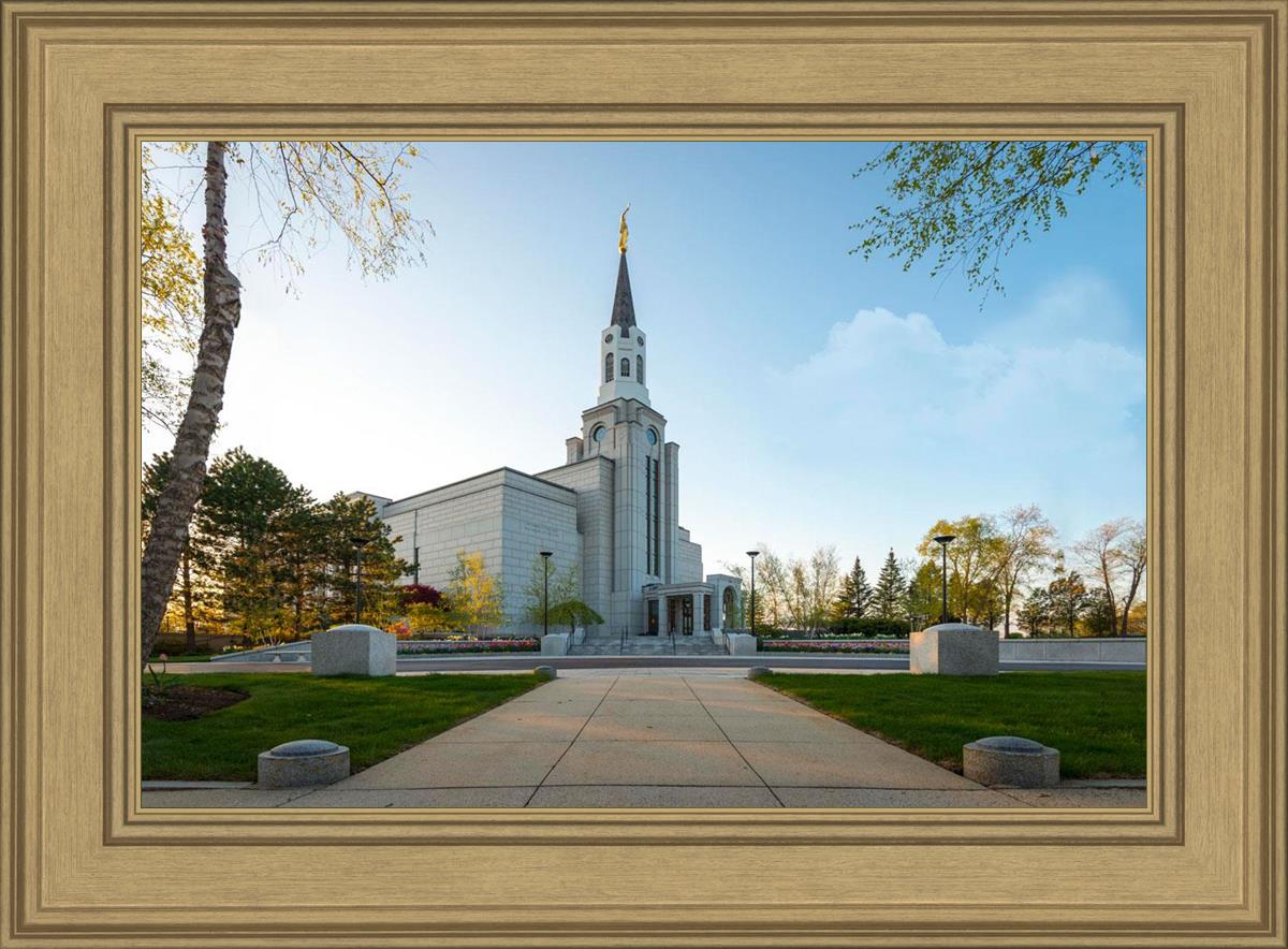 Boston Temple Spring Blossoms
