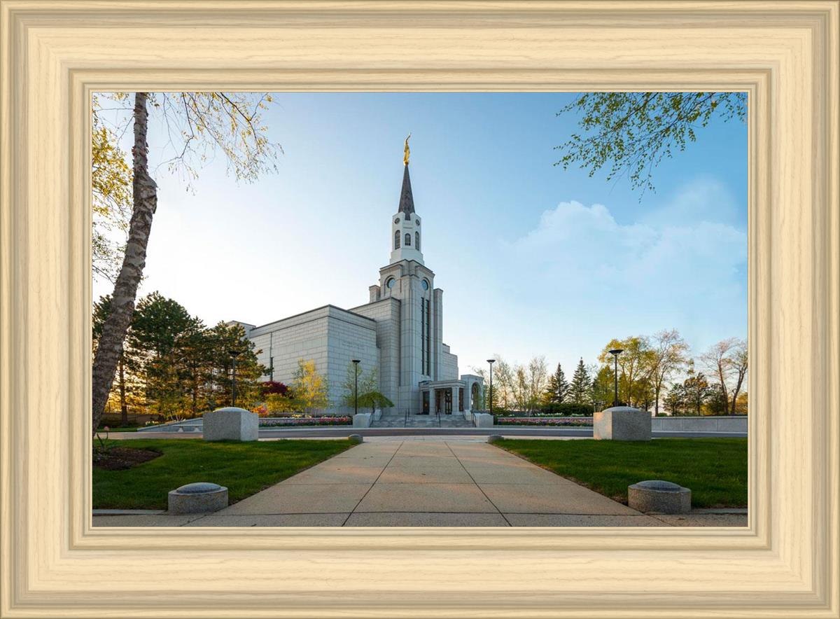 Boston Temple Spring Blossoms