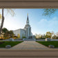 Boston Temple Spring Blossoms