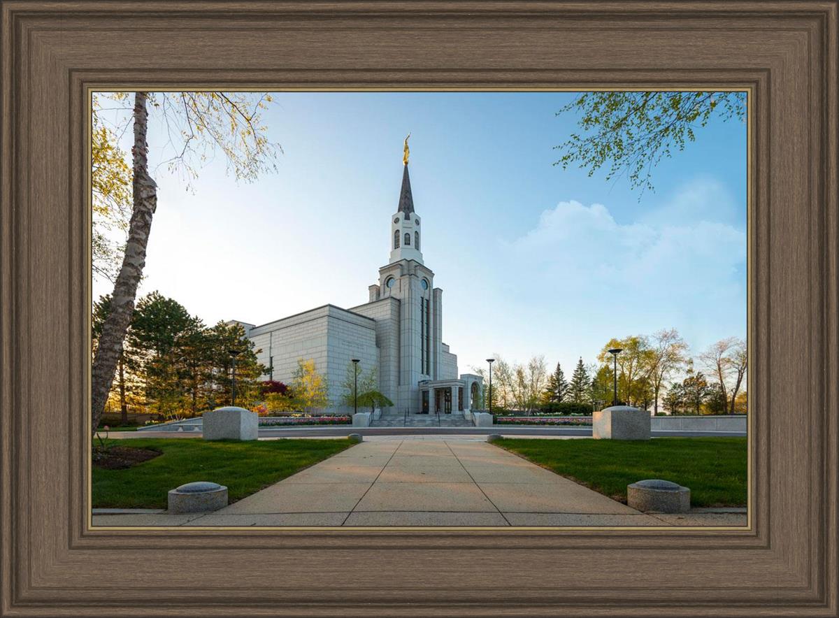 Boston Temple Spring Blossoms