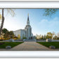 Boston Temple Spring Blossoms