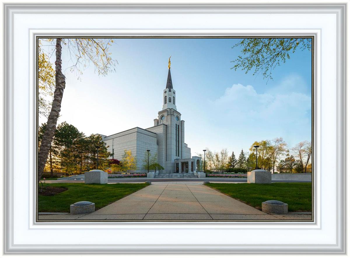 Boston Temple Spring Blossoms