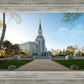 Boston Temple Spring Blossoms