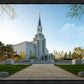 Boston Temple Spring Blossoms