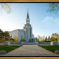 Boston Temple Spring Blossoms