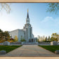 Boston Temple Spring Blossoms