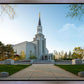 Boston Temple Spring Blossoms