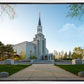 Boston Temple Spring Blossoms