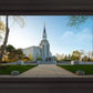 Boston Temple Spring Blossoms