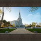 Boston Temple Spring Blossoms
