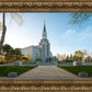 Boston Temple Spring Blossoms