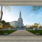 Boston Temple Spring Blossoms
