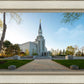 Boston Temple Spring Blossoms