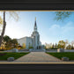 Boston Temple Spring Blossoms
