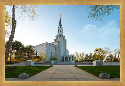 Boston Temple Spring Blossoms