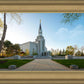 Boston Temple Spring Blossoms