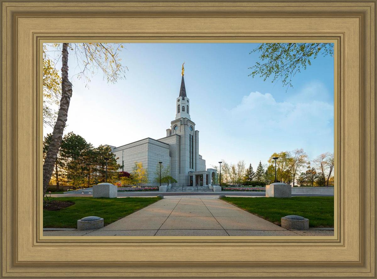 Boston Temple Spring Blossoms