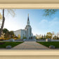 Boston Temple Spring Blossoms