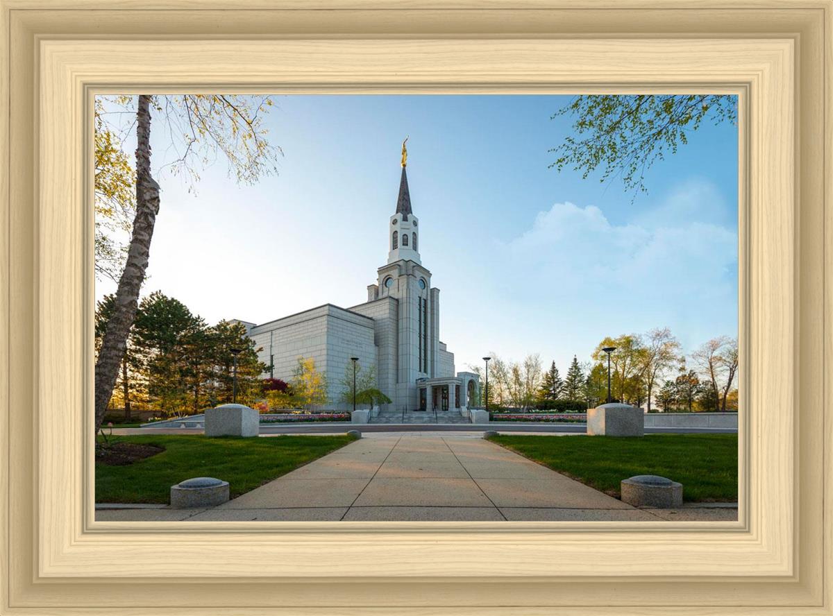 Boston Temple Spring Blossoms