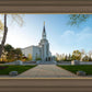 Boston Temple Spring Blossoms