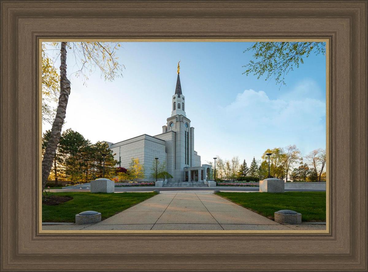 Boston Temple Spring Blossoms