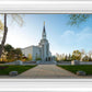 Boston Temple Spring Blossoms