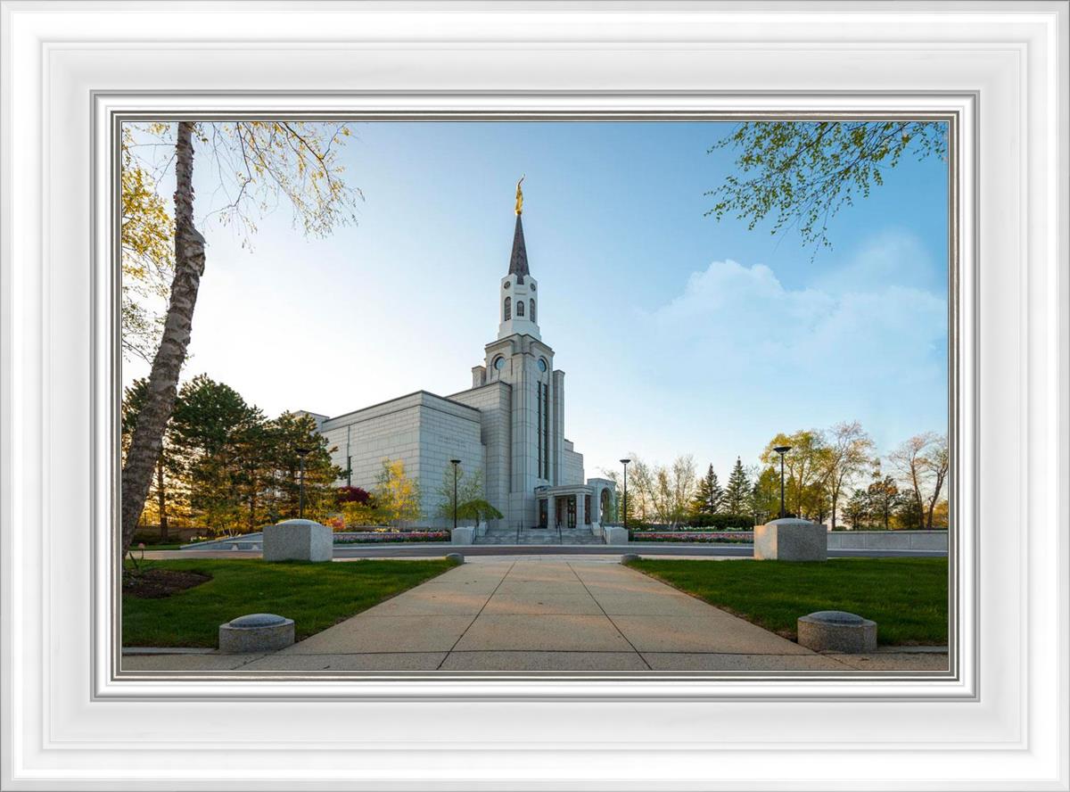 Boston Temple Spring Blossoms