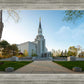 Boston Temple Spring Blossoms