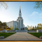 Boston Temple Spring Blossoms