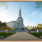 Boston Temple Spring Blossoms