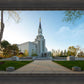 Boston Temple Spring Blossoms