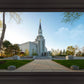 Boston Temple Spring Blossoms