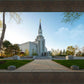 Boston Temple Spring Blossoms