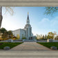 Boston Temple Spring Blossoms
